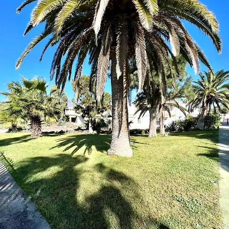 Apartment Estudio Con Bonita Piscina, A 450m De La Playa En *
