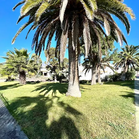 Estudio Con Bonita Piscina, A 450m De La Playa En
